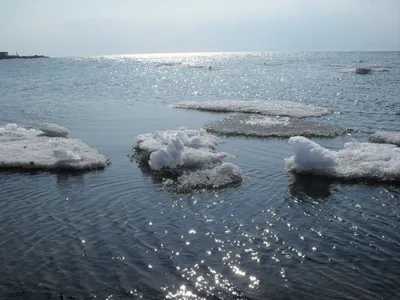 Бесплатные фотографии Охотского моря в хорошем качестве