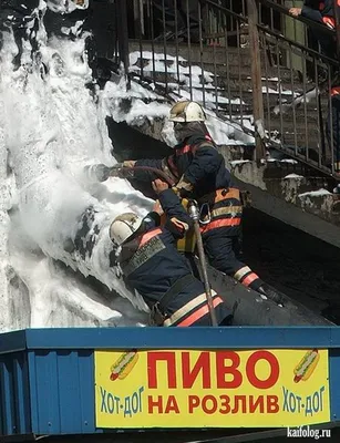 Веб-страница Охрана смешные с фото и возможностью выбора формата