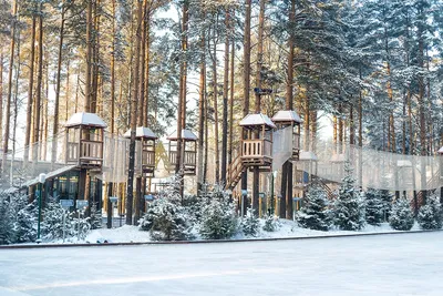 Зимний пейзаж в Охта парке: Выбор размера и формата для загрузки
