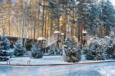 Волшебные моменты зимы в Охта парке: Фотографии в высоком разрешении