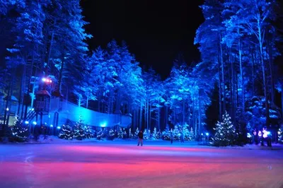 Озарение зимней природы в Охта парке: Фото на выбор