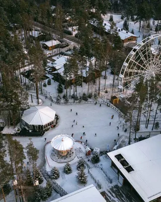 Зимняя гармония Охта парка: Фотографии с возможностью выбора размера и формата
