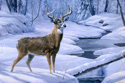 Зимний артист: Фото оленя в плену зимнего театра
