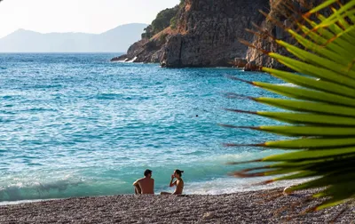 Фото пляжа Олюдениз: отдых в тени сосен и пальм
