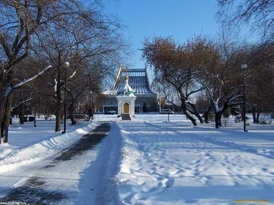 Зимний этюд Омска: Фотка в JPG, PNG, WebP для каждого вкуса