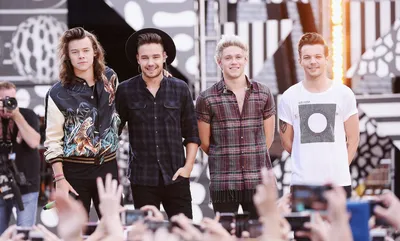 One Direction: Фото музыкантов для вашего сайта