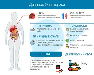 Изображения Описторхоза: Свобода Выбора Размера и Формата