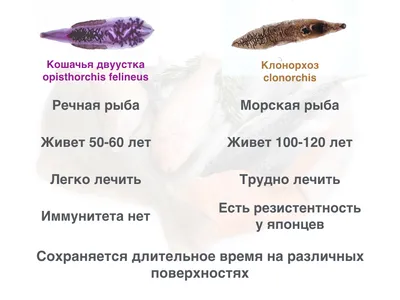 Фотографии Описторхоза: Выбирайте из Различных Форматов