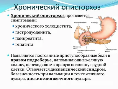 Фотоописание Описторхоза: Размеры и Форматы для Загрузки