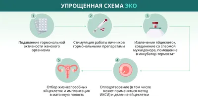 Оплодотворение человека: Уникальные снимки в формате WebP