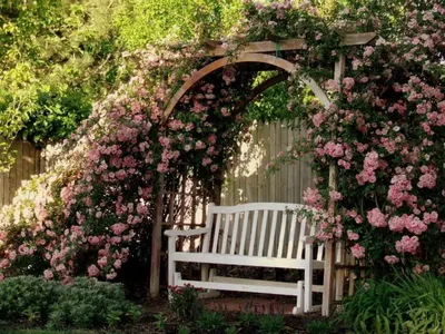 Опора для плетистой розы: привнесите элегантность в ваш сад