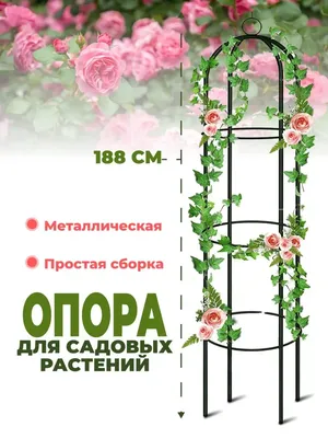 Создание красивого уголка: фото опоры для плетистой розы