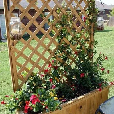 Фото опоры для плетистой розы: сделайте сад еще красивее