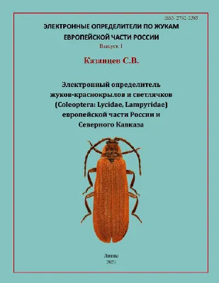 Определитель жуков: фото и характеристики