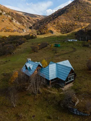 Фотография орла в горах – впечатляющий взгляд