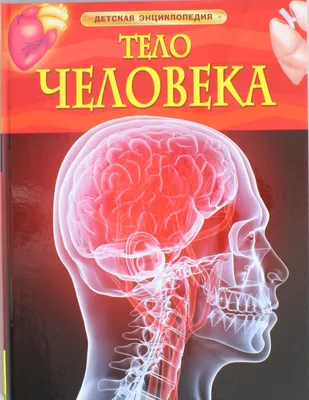 Фото человеческой анатомии: изображения, фотографии, фотки