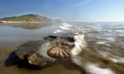 Фотки пляжей с кристально чистой водой