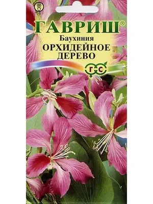 Арт-фото орхидейного дерева в стиле абстракция