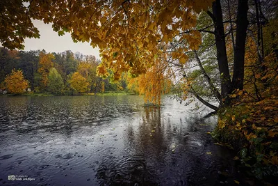 Фотографии дождя: Скачать бесплатно