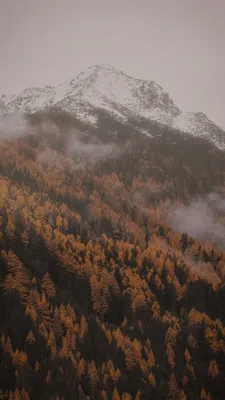 Бесплатные фотографии Гор в Осенней атмосфере