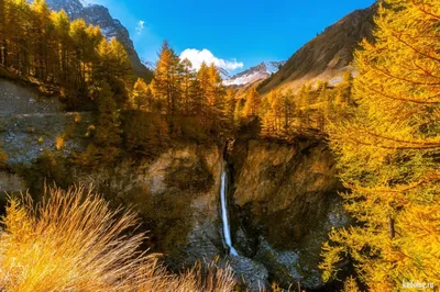 Картинка с осенними горами