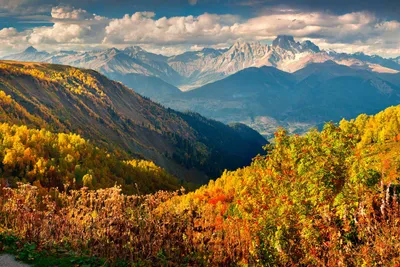 Фотк с прекрасными осенними горами