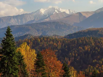 HD фото с осенними горами