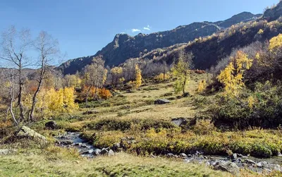 Фото на андроид: великолепные осенние горы