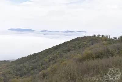 Картинка с осенними горами