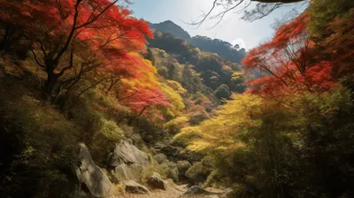 4K фотк осенних гор