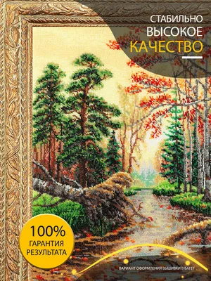 Фото осеннего леса в хорошем качестве: насладитесь каждой деталью