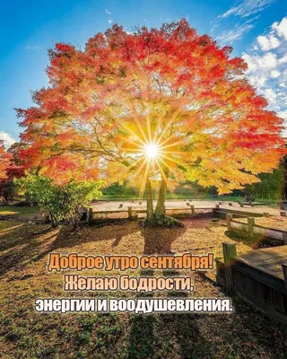 **Утренние фотографии, чтобы начать день с радости**