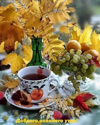 Осенний утречко с добрым утром - природа приветствует.