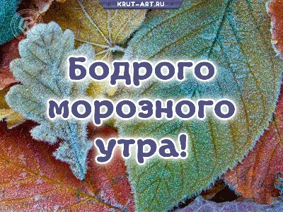 Утренние картинки осеннего утречка - путешествие в мир красок.