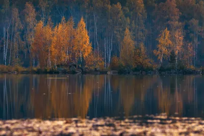 По следам осени: красивые зарисовки природы