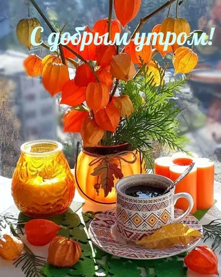 Осеннее утро: природа пробуждается