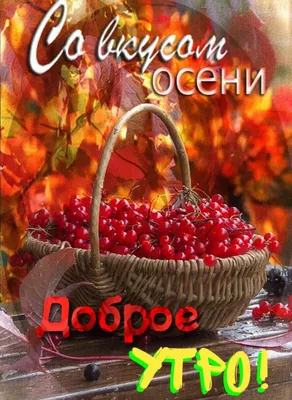 Осеннее утро: встреча с природой