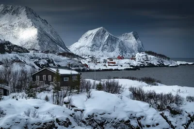 Осло в снежном убранстве: Фотографии для любого размера экрана