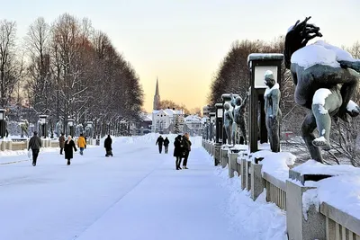 Волшебные моменты зимы в Осло: Высококачественные фотографии