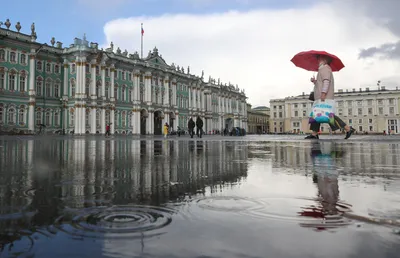 Фото птиц с различными размерами и форматами на Осоед