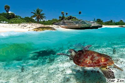 Живописный закат над Карибским морем: романтика и великолепие (фото)