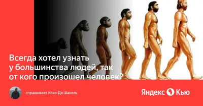 Выберите размер: Персональная настройка изображений человека