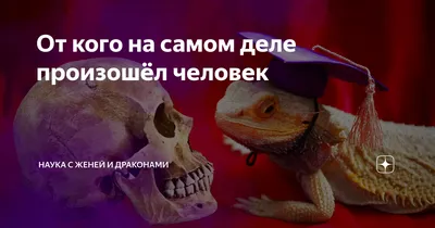 Пленение души: Эмоциональные портреты, оставляющие впечатление