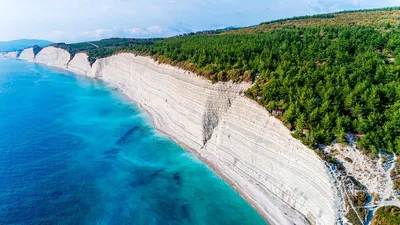 Уникальные кадры с дикого пляжа: наслаждение солнцем и морем