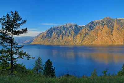 Фото Телецкого озера: Панорамные изображения для загрузки