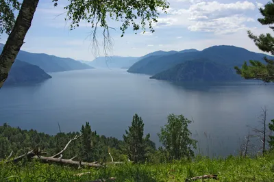 Фотоотчет о Телецком озере: Изображения в Full HD качестве