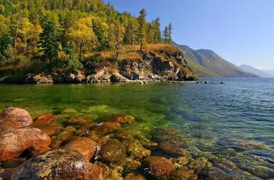 Отдых на Телецком озере: Фотографии природы в HD качестве