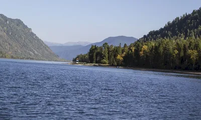 Живописные фото телецкого озера в Full HD разрешении