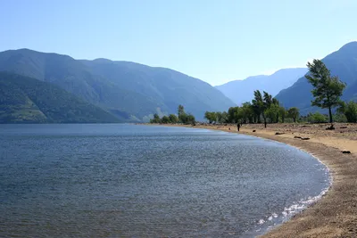 Красота природы: телецкое озеро в объятиях гор