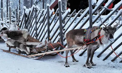 Ледяные чудеса: Фотоотчет по зимней Финляндии